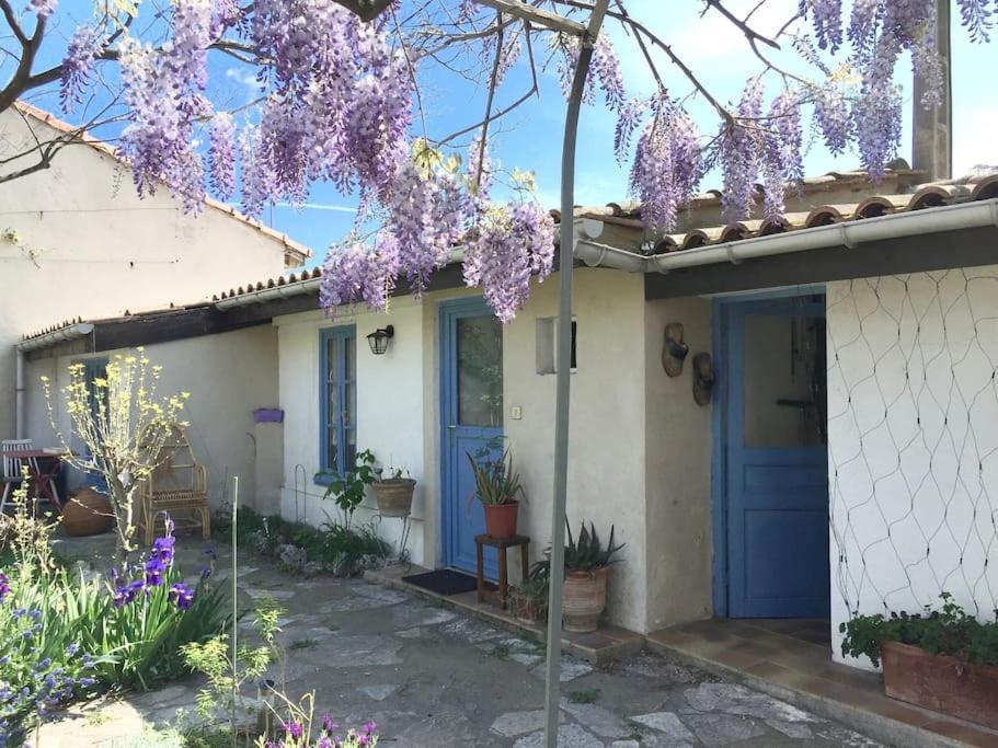La Campagne Dans La Ville Narbonne Dış mekan fotoğraf