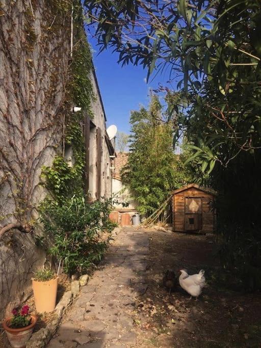 La Campagne Dans La Ville Narbonne Dış mekan fotoğraf